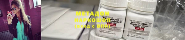 гидра Покачи