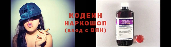 гидра Покачи