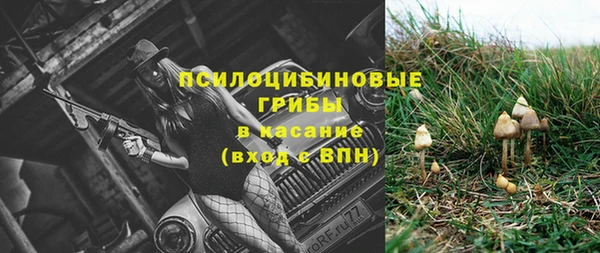трава Переславль-Залесский