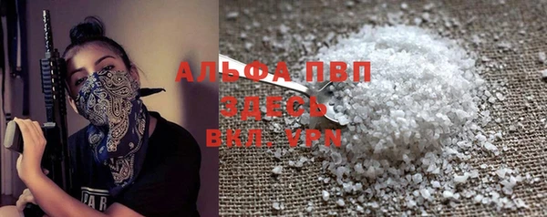 гидра Покачи