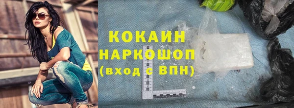 гидра Покачи
