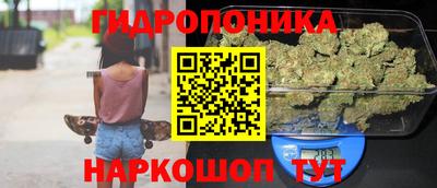 индика Гай