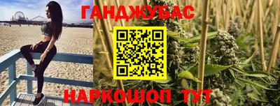 индика Гай
