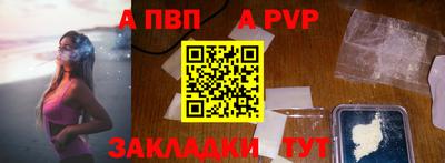 индика Гай