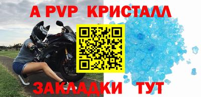 индика Гай