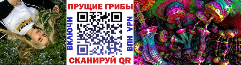 Галлюциногенные грибы мицелий  гидра рабочий сайт  Алатырь 
