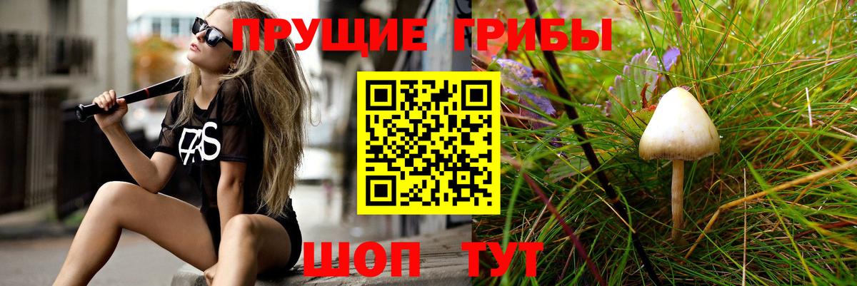 Галлюциногенные грибы MAGIC MUSHROOMS  Галлюциногенные грибы MAGIC MUSHROOMS  Вход с VPN  где купить   Алатырь 