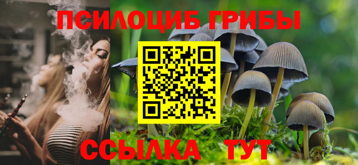 Галлюциногенные грибы GOLDEN TEACHER  Вход с VPN  Алатырь  Псилоцибиновые грибы Psilocybine cubensis 