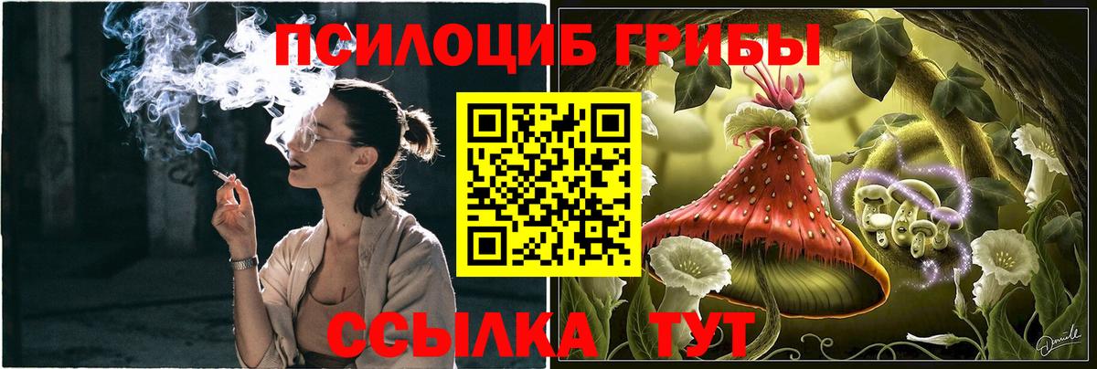 Псилоцибиновые грибы Psilocybe  Алатырь 