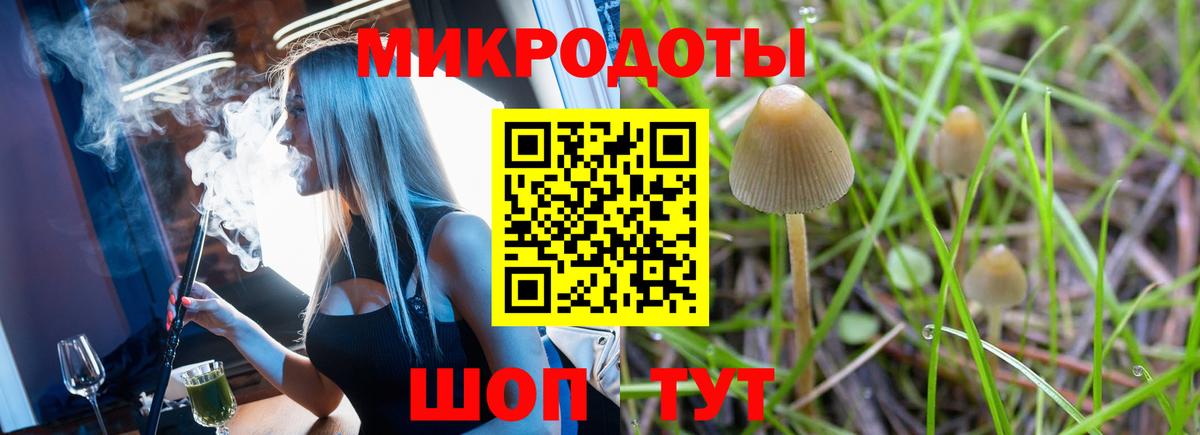 Галлюциногенные грибы Magic Shrooms Алатырь