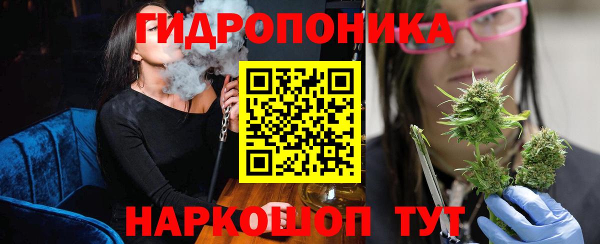 Конопля конопля  Конопля ГИДРОПОН  Бошки марихуана ГИДРОПОН  Марихуана SATIVA & INDICA  Алатырь 